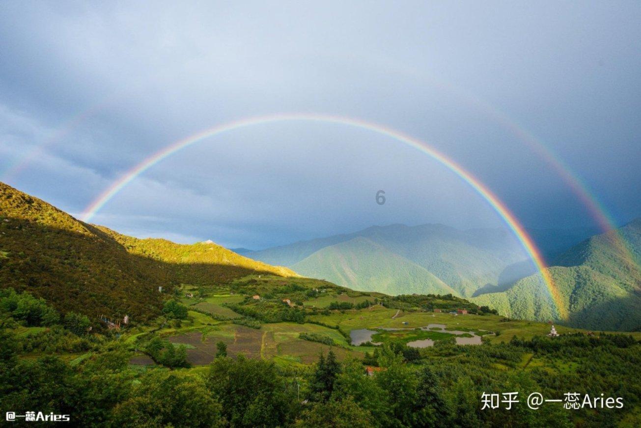 披萨找不同