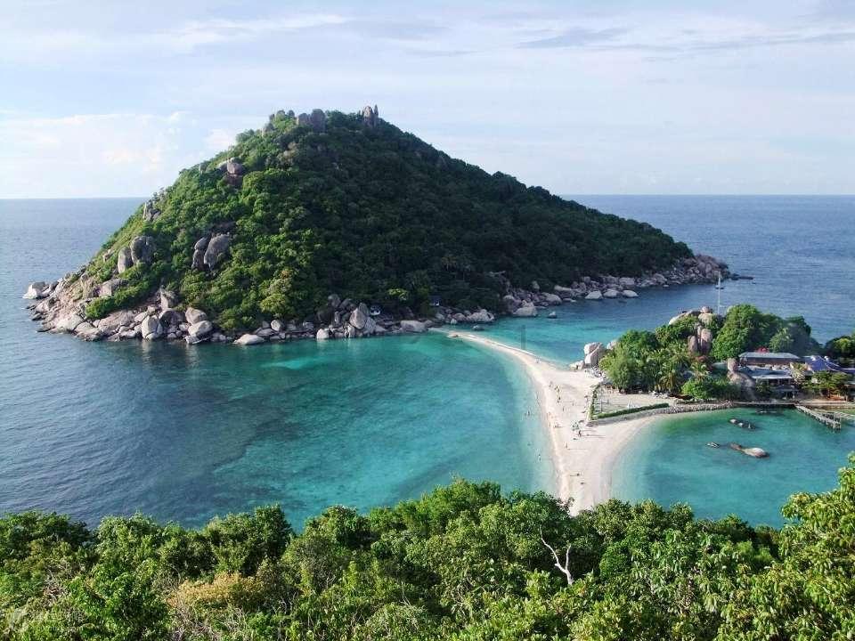 全球贸易之窗与新西兰企业线上交流会举行