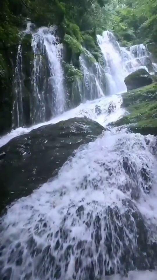 以撒的结合：胎衣