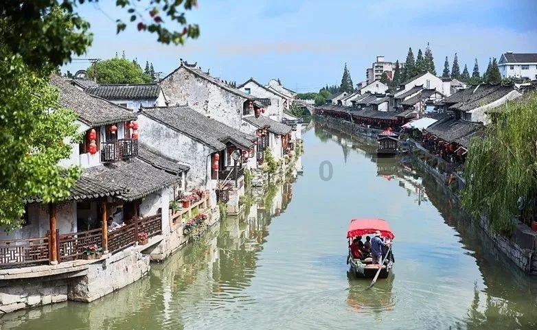 拯救红松鼠