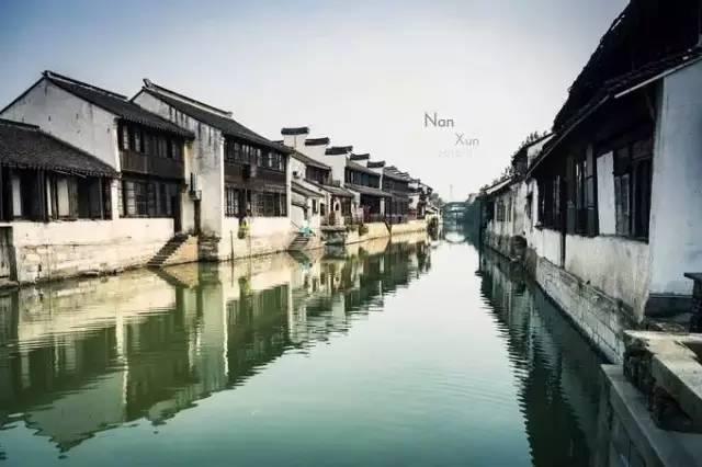 逃离橡子树种植地
